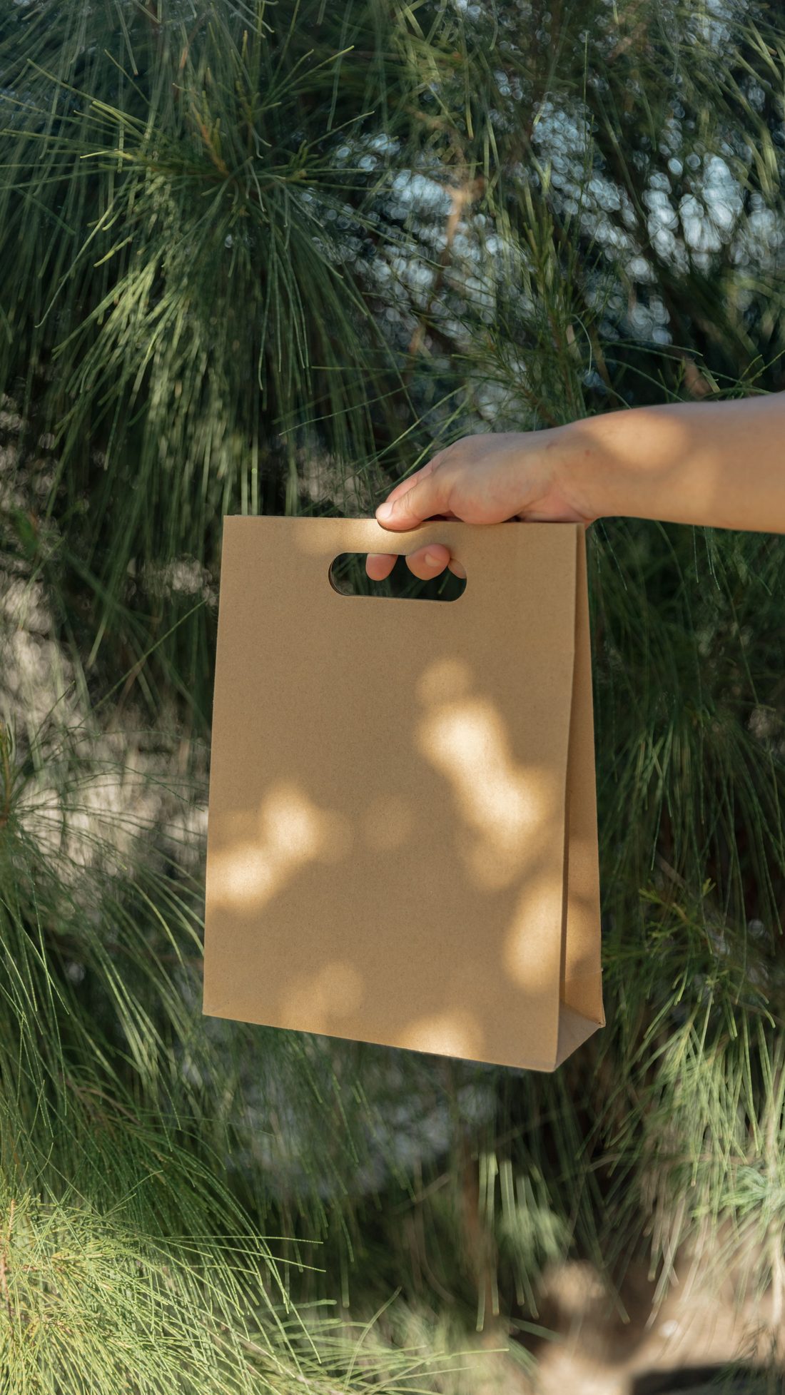 Green Guardian compostable kraft carry bag held outdoors