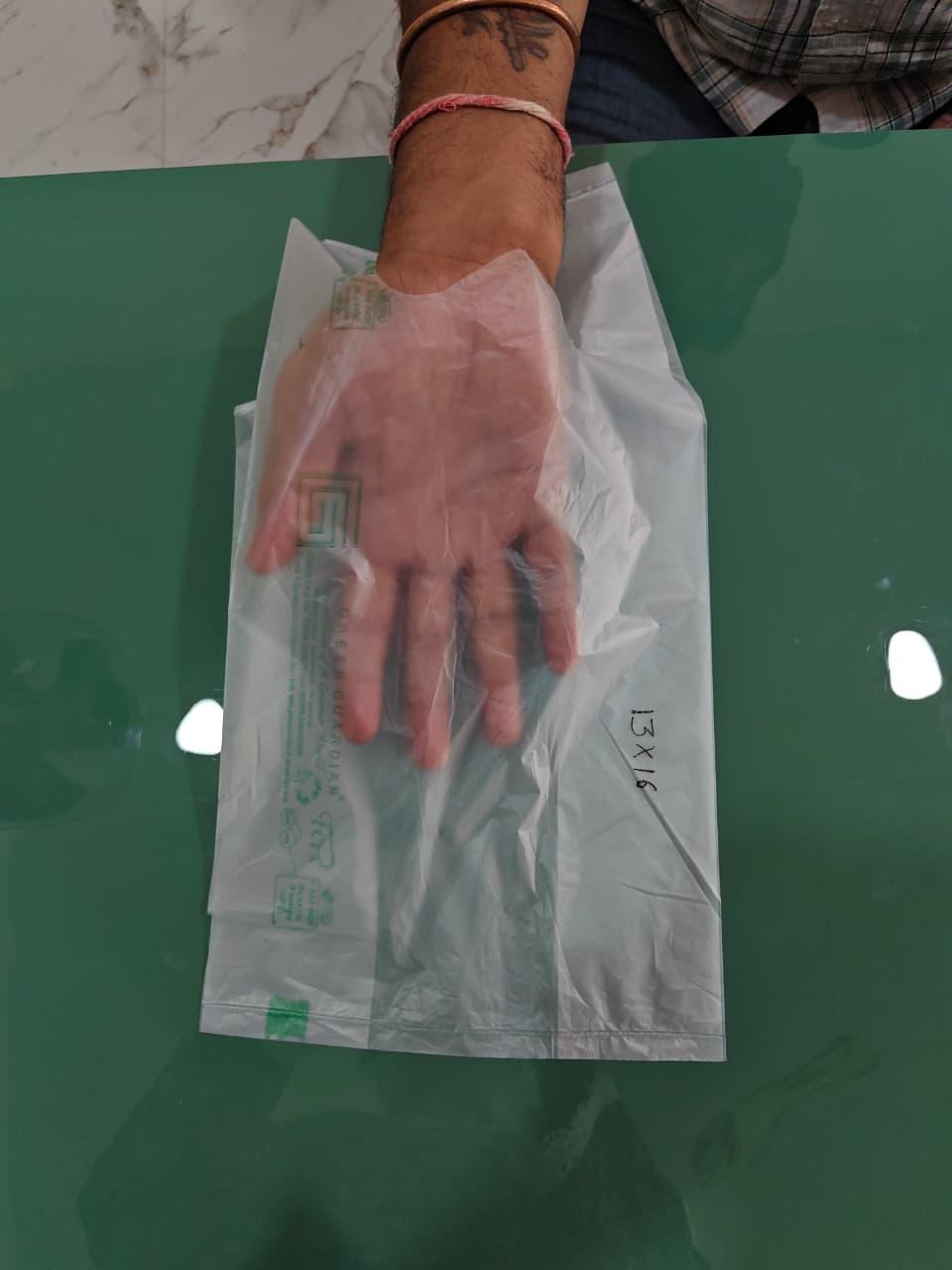 Green Guardian compostable bag held in hand